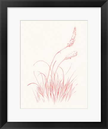 Framed Farm Nostalgia Flowers IV Print