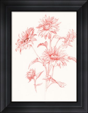 Framed Farm Nostalgia Flowers I Print