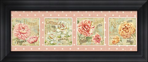 Framed Concours Floral V Print