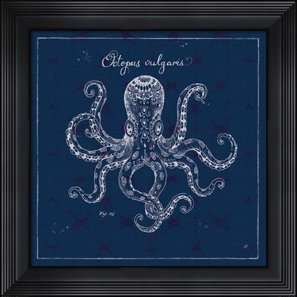 Framed Underwater Life XI Print