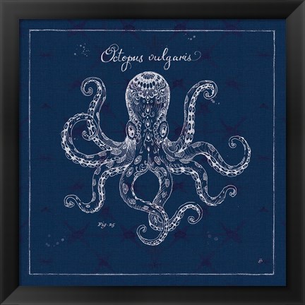 Framed Underwater Life XI Print