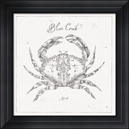 Framed Underwater Life IV Print