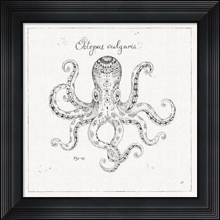 Framed Underwater Life III Print