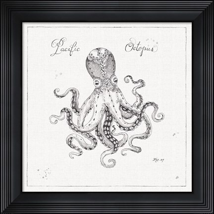 Framed Underwater Life II Print