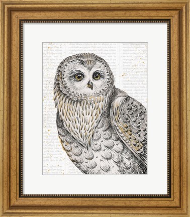 Framed Beautiful Owls IV Print