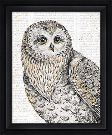 Framed Beautiful Owls IV Print