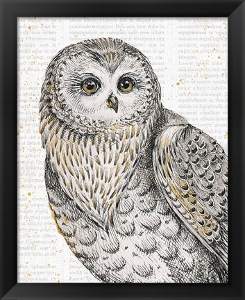 Framed Beautiful Owls IV Print