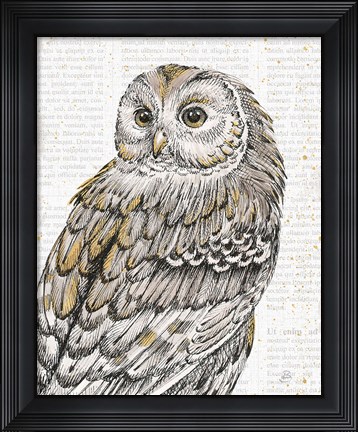 Framed Beautiful Owls III Print