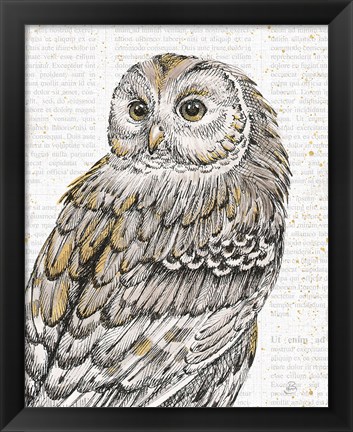 Framed Beautiful Owls III Print