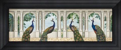 Framed Elegant Peacock I Print