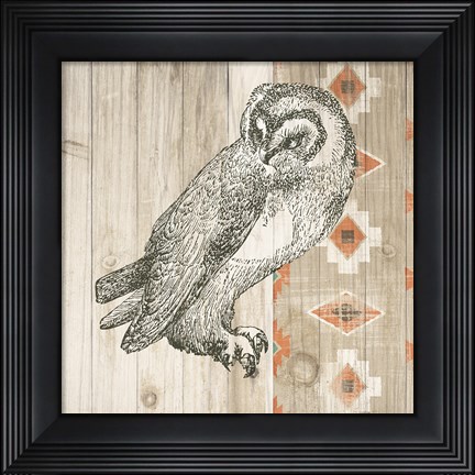 Framed Natural History Lodge Southwest I Print