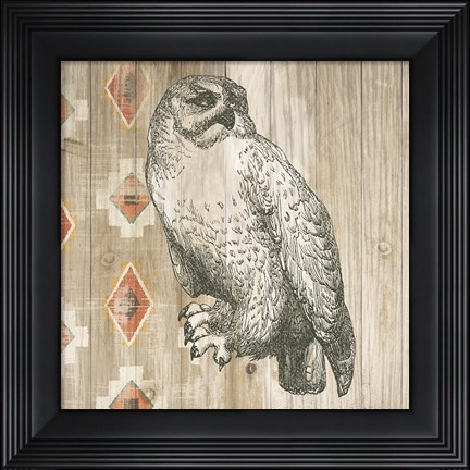 Framed Natural History Lodge southwest II Print