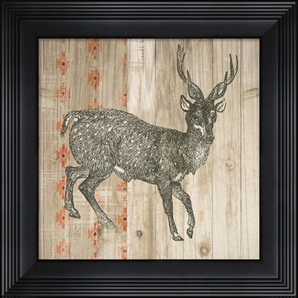 Framed Natural History Lodge Southwest III Print