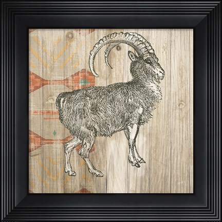 Framed Natural History Lodge Southwest VII Print
