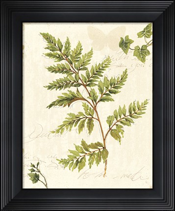 Framed Ivies and Ferns I no Dragonfly Print