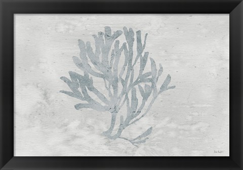 Framed Water Coral III Print