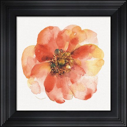 Framed Colorful Breeze IX Print