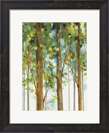 Framed Forest Study II SPC Print