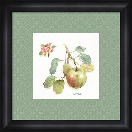 Framed Orchard Bloom I Border Print