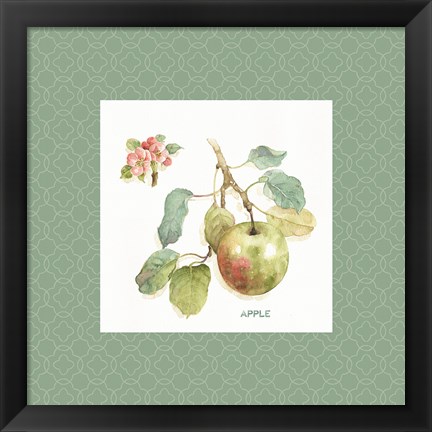 Framed Orchard Bloom I Border Print