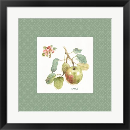 Framed Orchard Bloom I Border Print