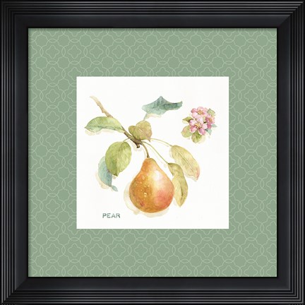 Framed Orchard Bloom II Border Print