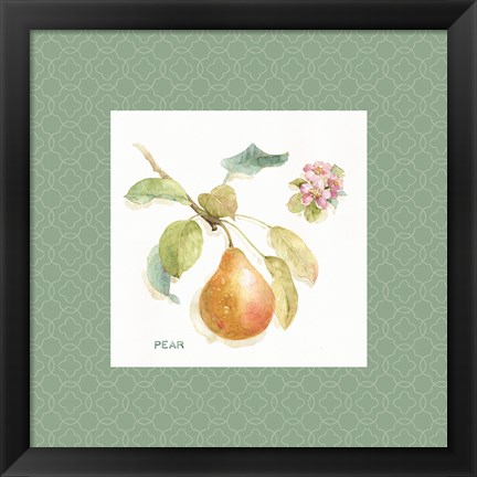 Framed Orchard Bloom II Border Print