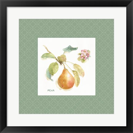 Framed Orchard Bloom II Border Print