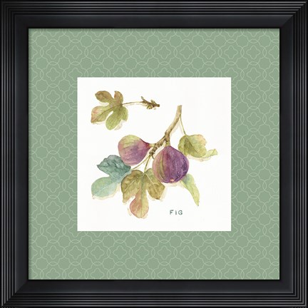Framed Orchard Bloom III Border Print