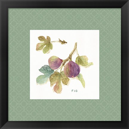 Framed Orchard Bloom III Border Print