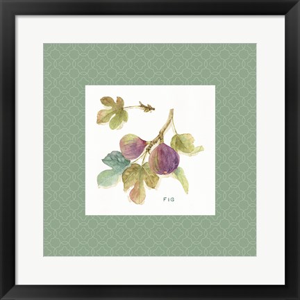 Framed Orchard Bloom III Border Print