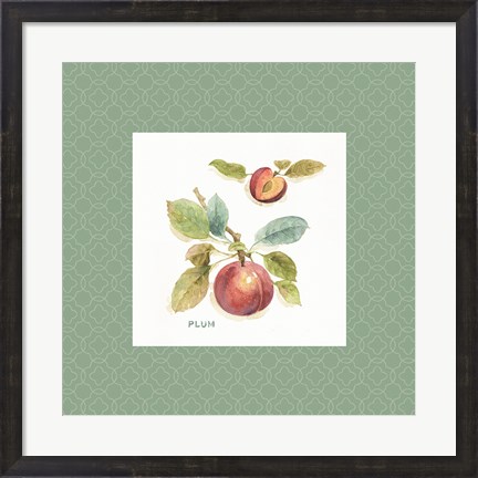 Framed Orchard Bloom IV Border Print