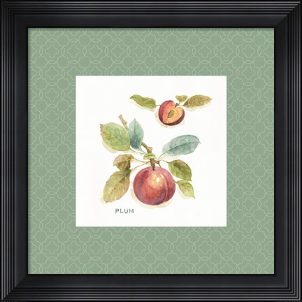 Framed Orchard Bloom IV Border Print