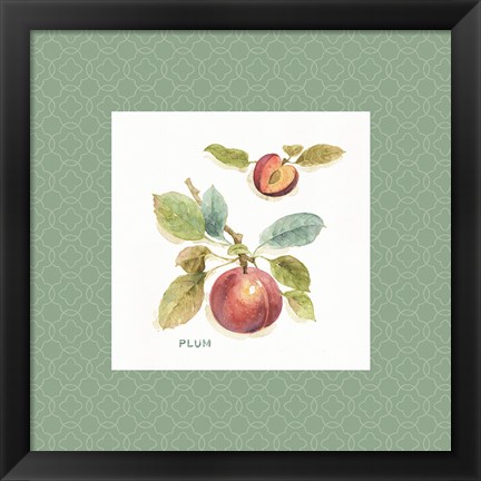 Framed Orchard Bloom IV Border Print