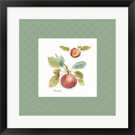 Framed Orchard Bloom IV Border Print