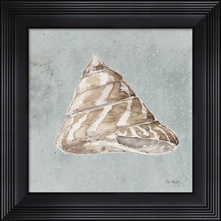 Framed Sand and Seashells IV Print