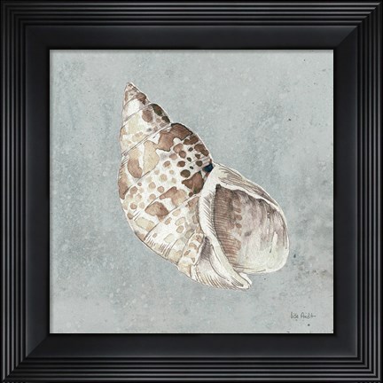 Framed Sand and Seashells II Print