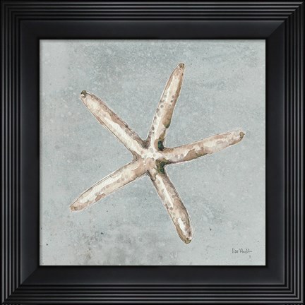 Framed Sand and Seashells III Print