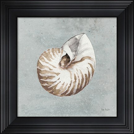 Framed Sand and Seashells I Print