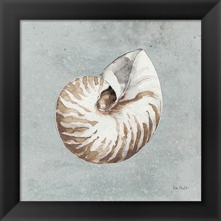 Framed Sand and Seashells I Print