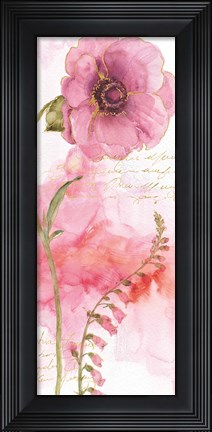 Framed Rainbow Seeds Absract Floral II Print