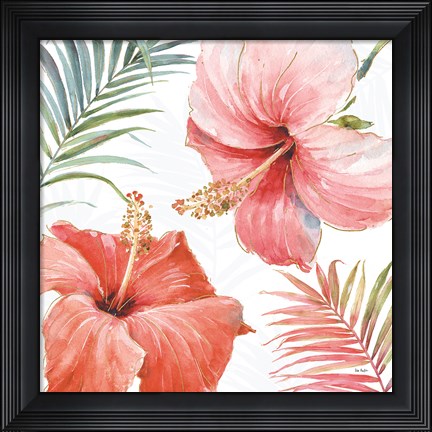 Framed Tropical Blush III Print