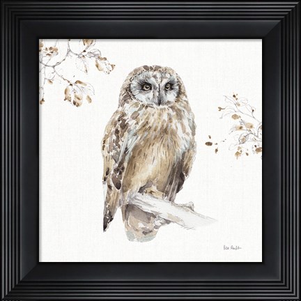 Framed Woodland Walk VIII Print