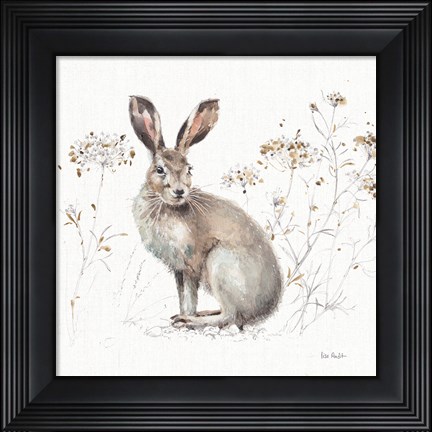 Framed Woodland Walk XIII Print