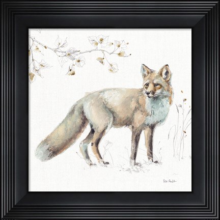 Framed Woodland Walk XI Print