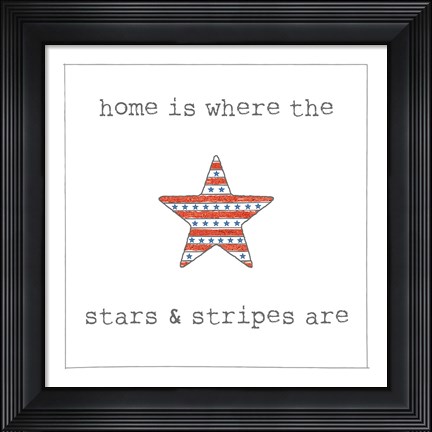 Framed USA Cuties IV on White Print