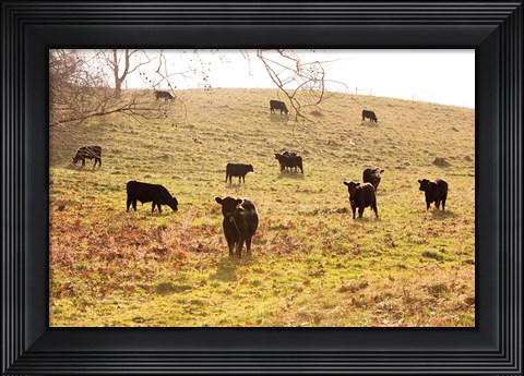Framed Fall Field I Print