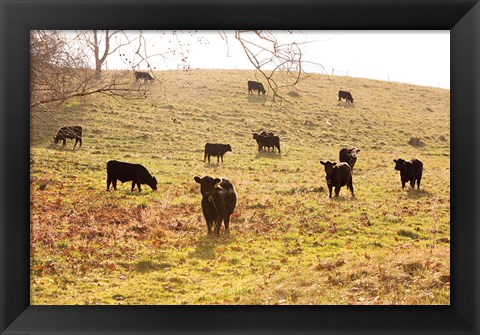 Framed Fall Field I Print