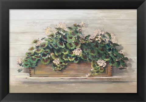 Framed Market Geraniums Crop Print