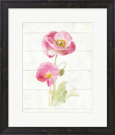 Framed June Blooms IV Print